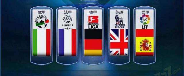 的生根发芽 的生根发芽