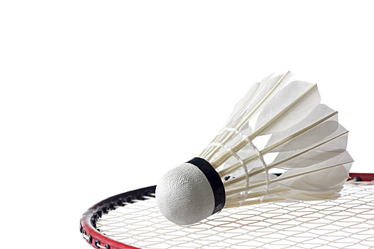 或一时爽快 或一时爽快